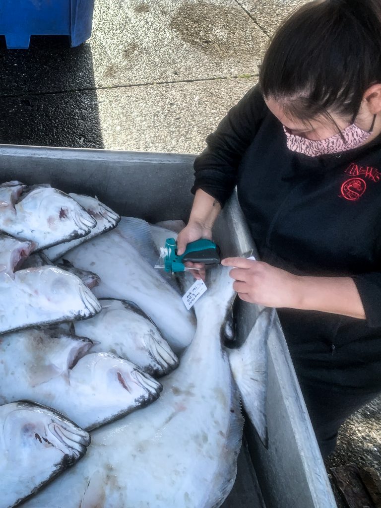 Ecotrust Canada dockside fisheries monitor in Tofino, BC