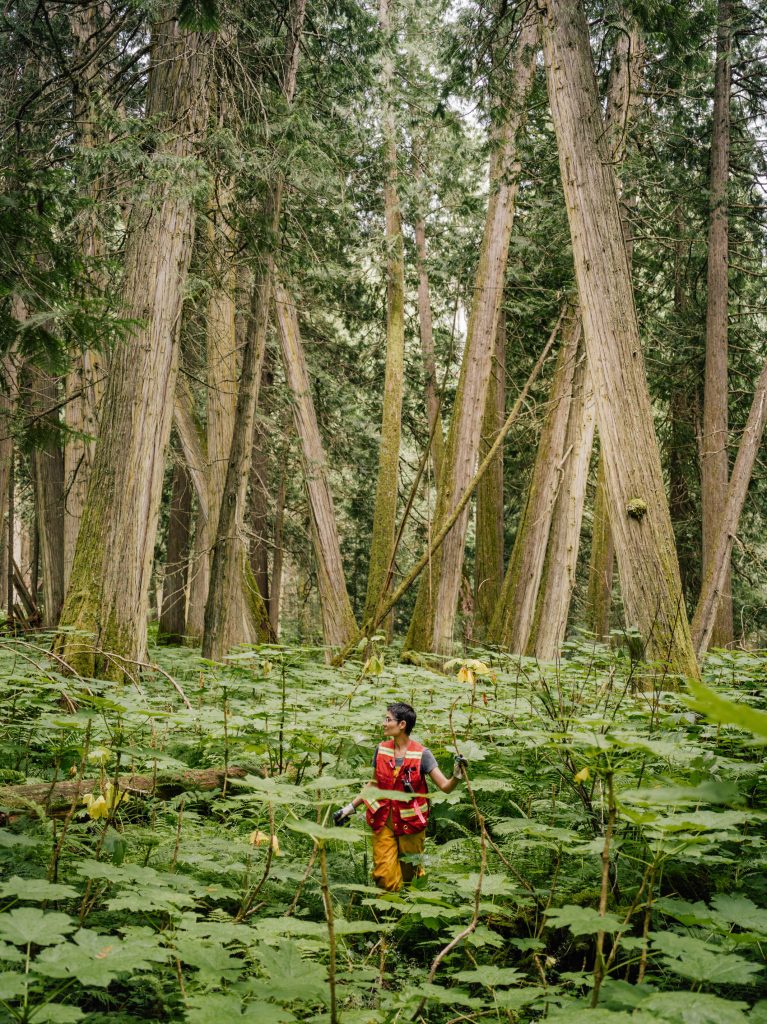 Michelle Connolly, Project Developer, Climate Innovation, walks through an inland temperate rainforest in BC, Canada.
