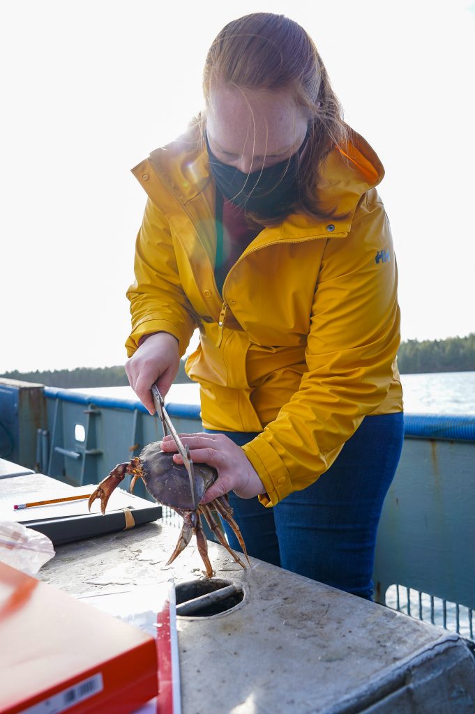 Kathryn Bond, Observer with the Fisheries Monitoring Program, Ecotrust Canada, Shannon Lough photo