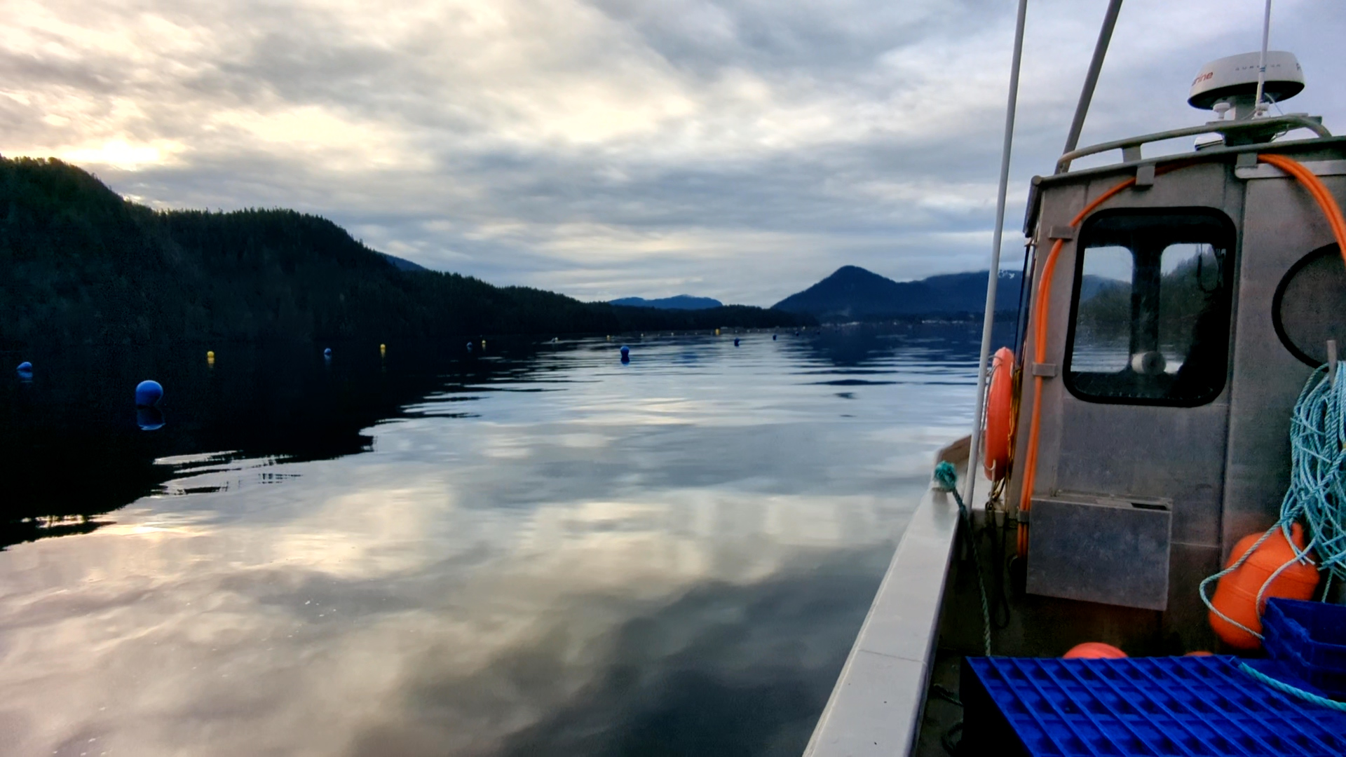 Regenerative Ocean Farming on the North Coast of BC