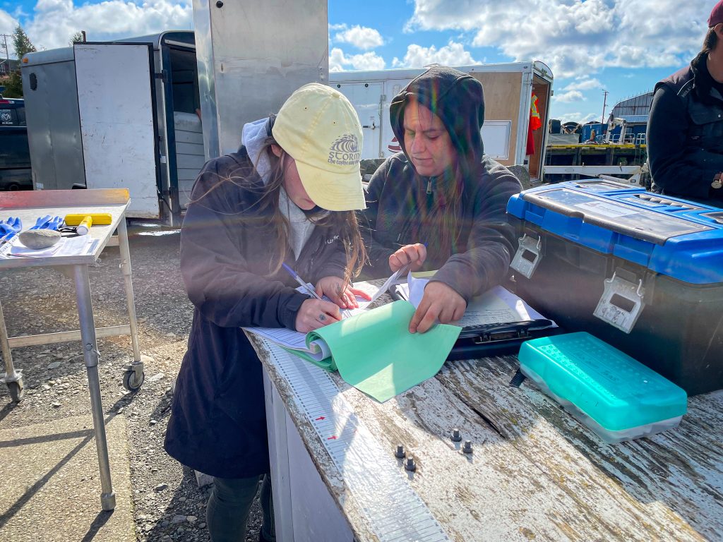 Shelby Heubner training a new dockside observer in Tofino