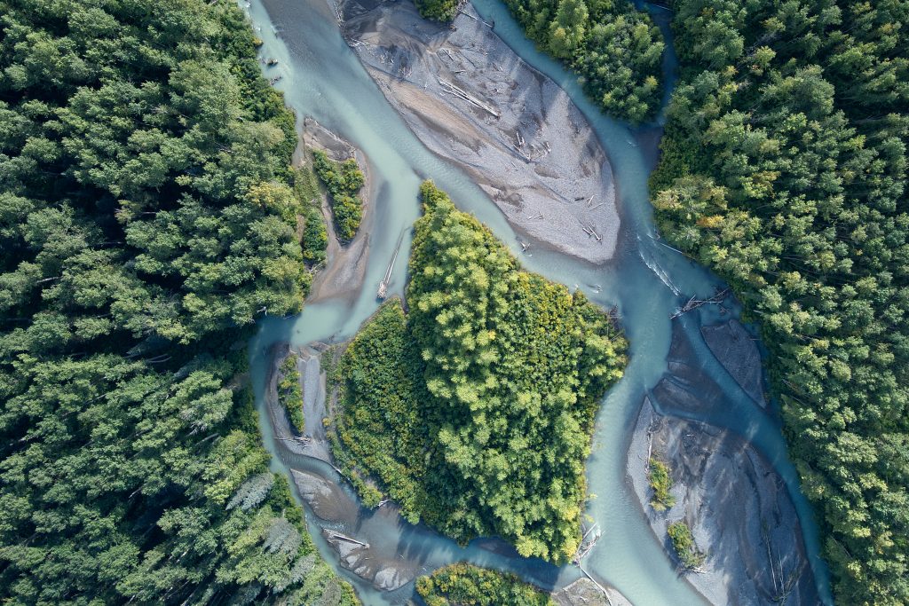 Forest and river. (RYAN DICKIE)