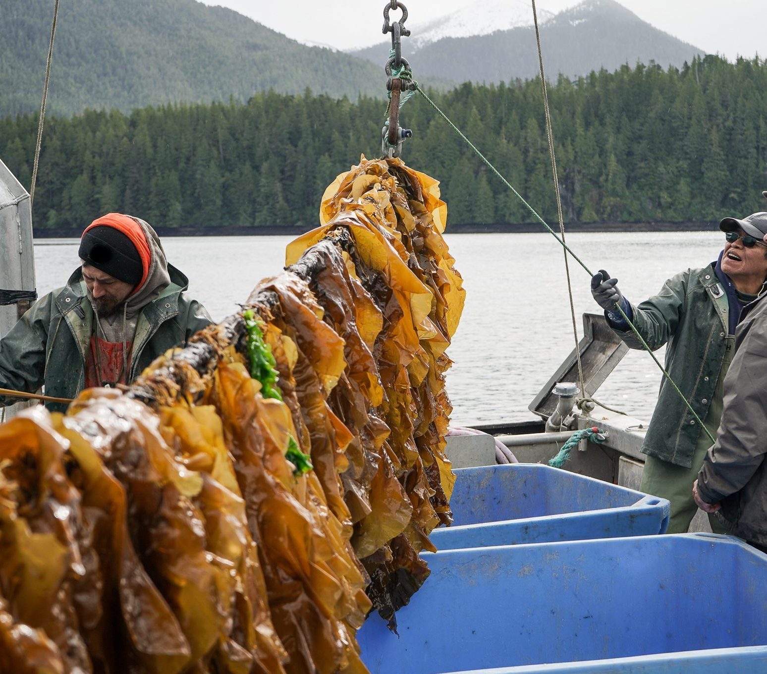 How we are meeting the moment - Ecotrust Canada