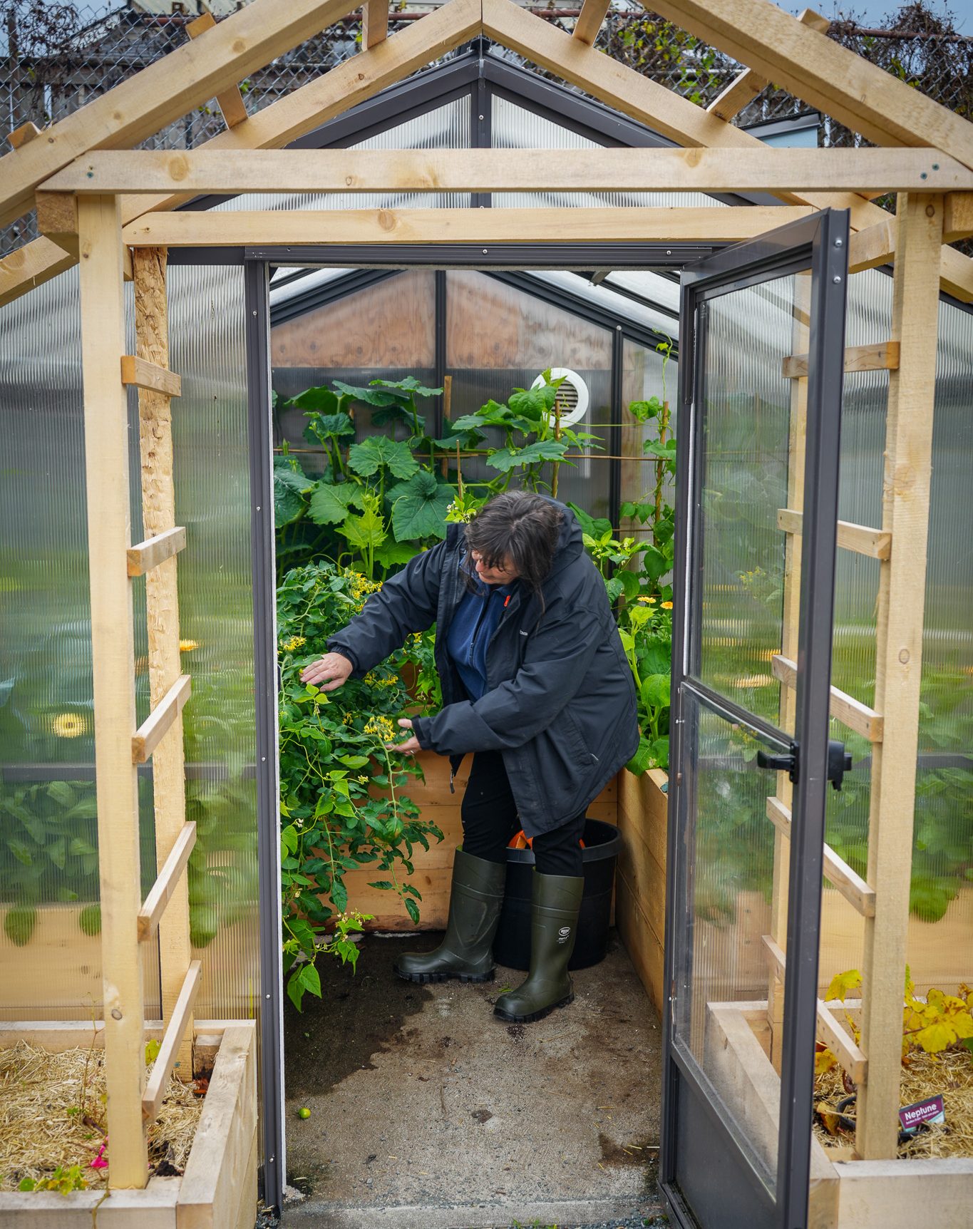gardener in the greenhouse