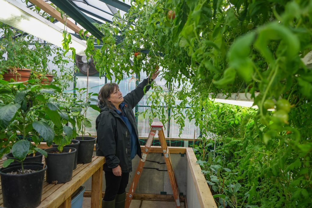 Dianne Villesèche, Program Manager, Community Food Systems Innovation, in the greenhouse and gardens of Charles Hays Secondary School in Prince Rupert, BC.