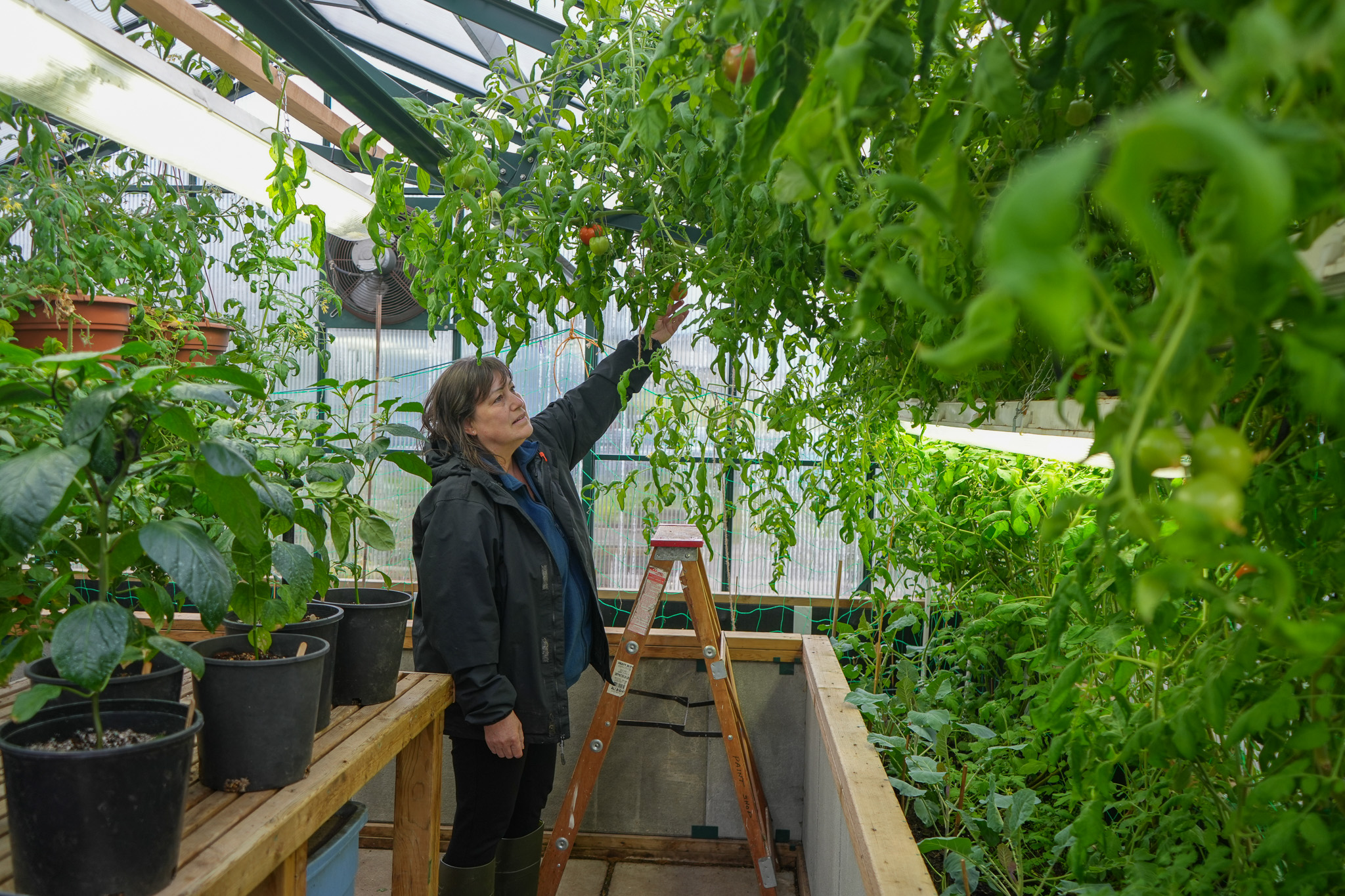 Dianne Villesèche, Program Manager, Community Food Systems Innovation, stands inside a greenhouse