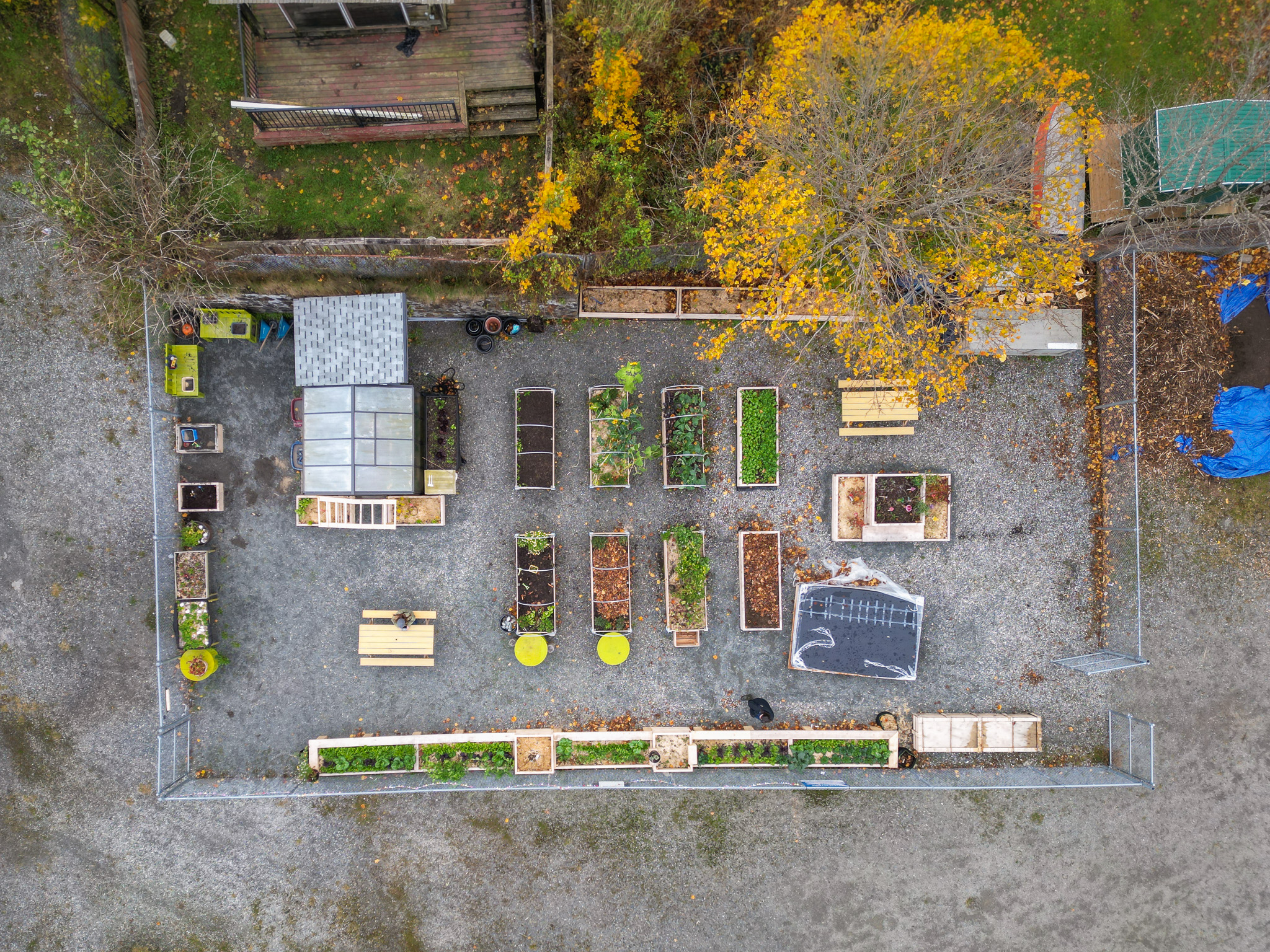 The greenhouse and gardens of Conrad School in Prince Rupert, BC. 
