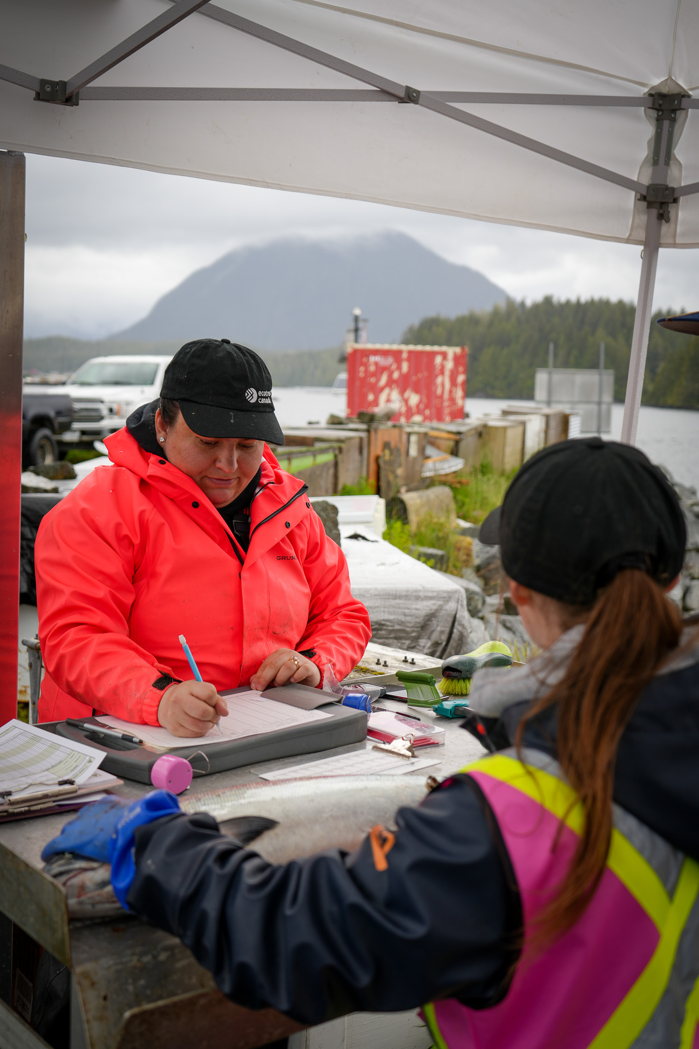 Two dockside observers at work in Tofino, BC