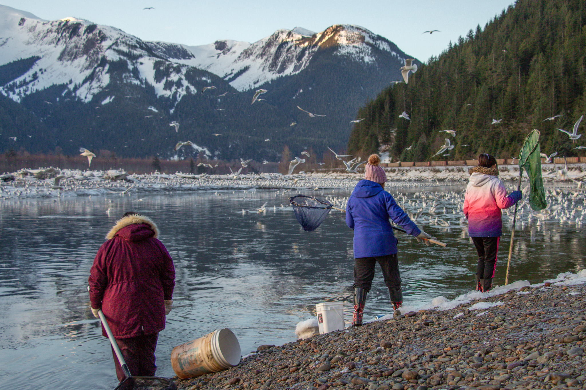 Three people looking out at the river with nets during the oolichan run on the Skeena River.